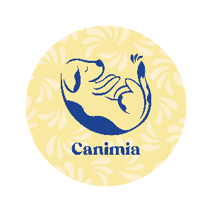 Canimia - consultante en comportement canin spécialisée en anxiété de séparation